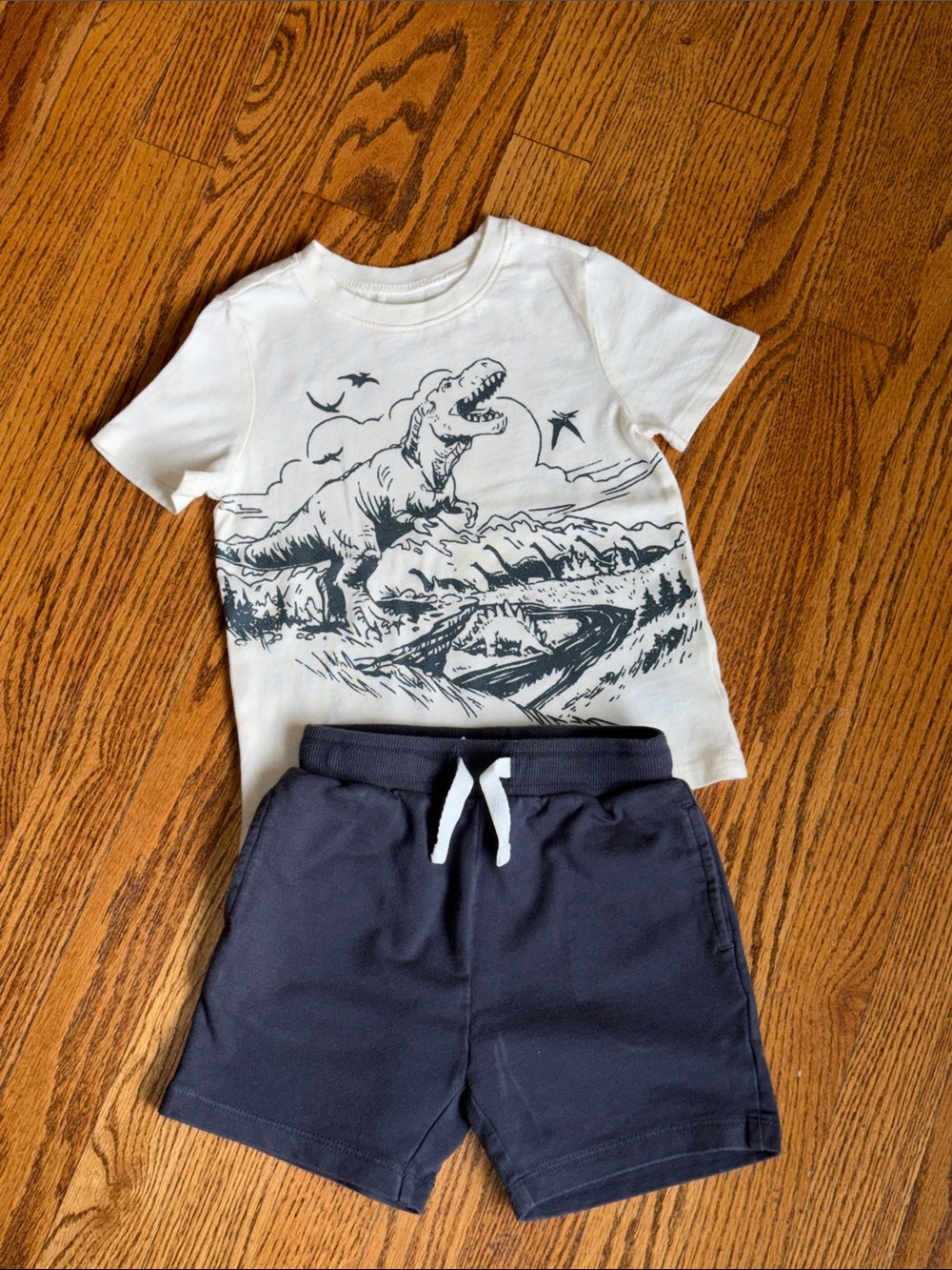 Toddler Boys Beige Dinosaur Graphic Tee and Navy Shorts Set